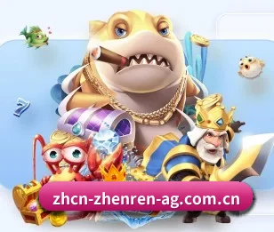 五大体育板块覆盖,从比分到直播全覆盖