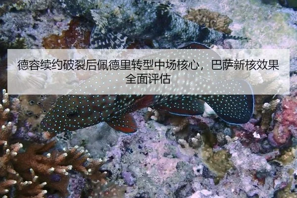 de-rong-xu-yue-po-lie-hou-pei-de-li-zhuan-xing-zhong-chang-he-xin-ba-sa-xin-he-xiao-guo-quan-mian-ping-gu-2-820.jpg