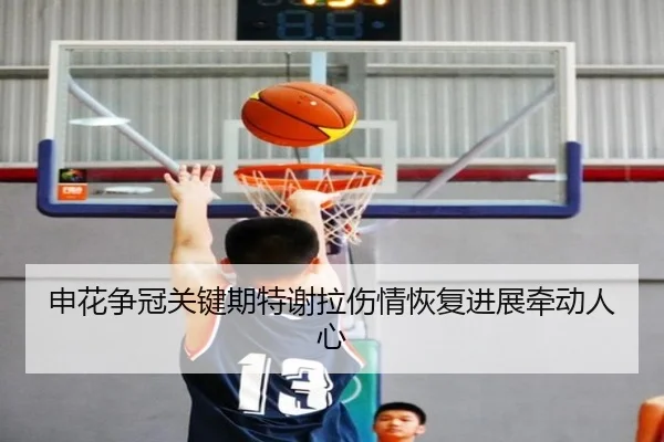 申花争冠关键期特谢拉伤情恢复进展牵动人心